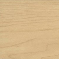Hard Rock Maple